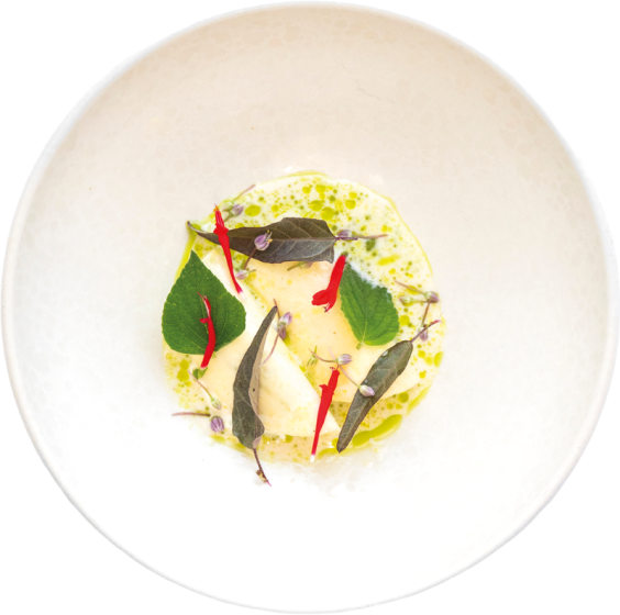 Wouter_Keesmaekers_Open-Ravioli_©_kris_vlegels